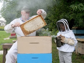 Len Ladoucer of Butternut Farm pulls out a honeycomb board to show junior beekeeper Archer Gopaul-Woods at their hives near Courtland. (Chris Abbott/Norfolk Tillsonburg News)