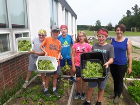 Students gather lettuce from the Southview Public School's Grow Project garden. (Loving Spoonful/Supplied Photo)