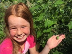 Rylee Ballantine is delighted to discover a cucamelon on the long slender vines of her mystery plant.