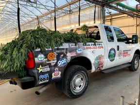 Chatham-Kent police have seized more than $7.3 million in marijuana from a greenhouse facility east of Chatham, making it the largest drug seizure in the history of the police service. Chatham Kent Police Service photo