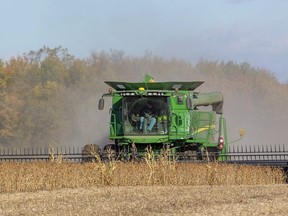 Ron Smith of Killins Custom Work out of Dorchester combines soybeans near Thorndale in this 2019 file photo. (Mike Hensen/Postmedia Network)