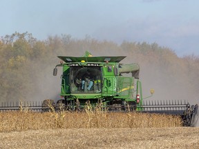 Ron Smith of Killins Custom Work out of Dorchester combines soybeans near Thorndale in this 2019 file photo. Mike Hensen/Postmedia Network