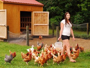 A Waterford couple shared suggestions for improvements to Norfolk County’s recently-passed urban poultry bylaw. Monte Sonnenberg/Postmedia Network