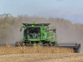 Ron Smith of Killins Custom Work out of Dorchester combines soybeans near Thorndale in this 2019 file photo. (Mike Hensen/Postmedia Network)