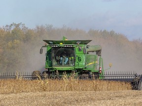 Ron Smith of Killins Custom Work out of Dorchester combines soybeans near Thorndale in this 2019 file photo. (Mike Hensen/Postmedia Network)