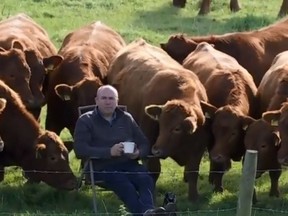 Billy O'Kane chillin' with his cows.