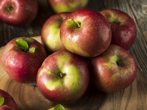 Raw Organic Red Mcintosh Apples