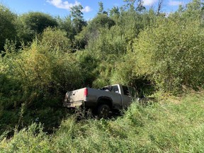 On Sept. 7 at 9:12 a.m., the RCMP responded to a 911 call from a motorist that a 28-year-old male and a dog were located deceased on Township Road 812. Indications on scene are that both were struck by some sort of a moving vehicle, and the RCMP are seeking information about the vehicle.