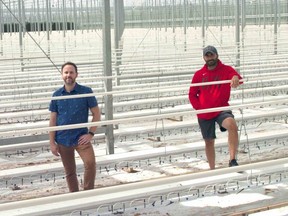 Kassim Tremblay, Vice President of Business Development at Sollum Technologies and Gene Ingratta, President of Allegro Acres