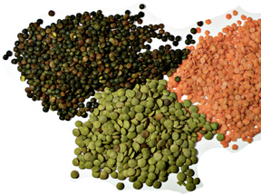 Canadian pulse crops