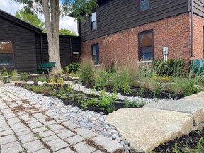 The new rain garden at Quinte Conservation's offices acts as a sponge and filter for runoff fromÊQuinteÊConservationÕs office roof and parking lot, diverting the flow from its previous path to PotterÕs Creek and the Bay ofÊQuinte. 
SUBMITTED