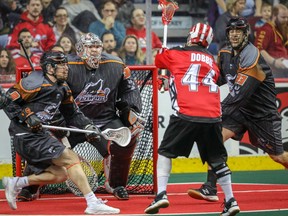Doug Jamieson, who plays for the New England Black Wolves, was thrilled to be named the National Lacrosse League’s goalie of the year.,