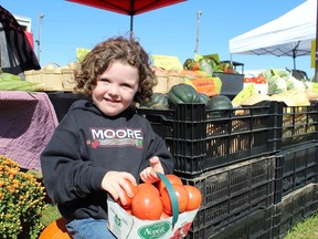 Three-year-old "Farmer Charleigh" helps at the Moore Farms vegetable stand on Sunday at an outdoor market held at the Paris fairgrounds.