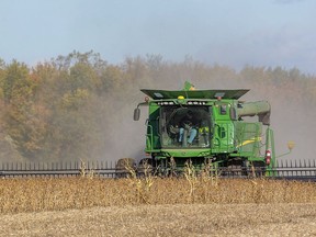 Ron Smith of Killins Custom Work out of Dorchester combines soybeans near Thorndale in this 2019 file photo. (Mike Hensen/Postmedia Network)