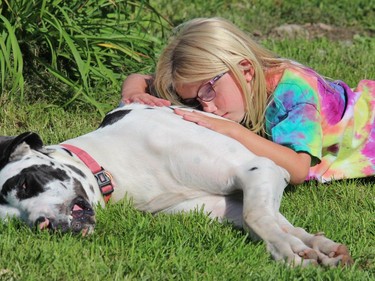 Ah, the dog days of September. Felicity Booijink had a rest with her nine-month-old Great Dane, Roxy, when her family welcomed guests to Jamink Farm in the St. Andrews West area for the Farm Hop event. Photo on Saturday, September 12, 2020, in St. Andrews West, Ont. Todd Hambleton/Cornwall Standard-Freeholder/Postmedia Network