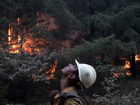 Johnny Islas, a firefighter from Las Vegas, monitors ambers from a firing operation near the Obenchain Fire in Butte Falls, Oregon, Sept. 15, 2020.