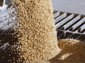grain financial protection