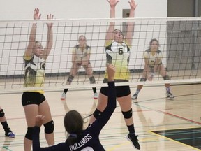 The J.C. Charyk Hawks, two teams from Consort and the Delia Bulldogs battled for supremacy on the courts on Sept. 19. The teams were utilizing extra health measures above and beyond those required for cohort schools, which they are, to try and prove that the volleyball program could be opened to hosting teams from other communities not within the cohort. Jackie Irwin/Postmedia