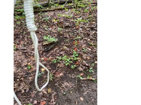 A noose found hanging in Warbler Woods in west-end London. (Twitter/@drsaramacdonald)
