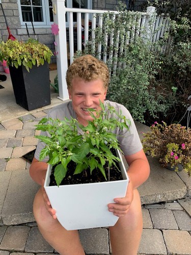 Jay Ryan took first place in the age 12 to 16 category of the Laurentian Valley Junior Gardeners Competition.