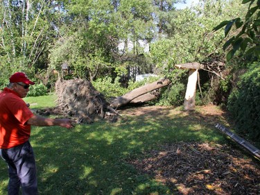 Laurentian Valley Mayor Steve Bennett surveys some of the damage on Heather Street in the township following a severe windstorm, likely a microburst, that occured Sunday afternoon around 3 p.m. Anthony Dixon