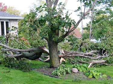 A severe storm with damaging winds, possibly a microbust, tore through the Drive-In Road area of Laurentian Valley on Sunday afternoon about 3 p.m., damaging homes, properties, trees and fences. Anthony Dixon