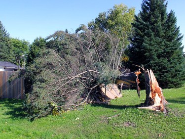 A severe storm with damaging winds, possibly a microbust, tore through the Drive-In Road area of Laurentian Valley on Sunday afternoon about 3 p.m., damaging homes, properties, trees and fences. Anthony Dixon