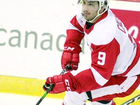 Defenceman Robert Calisti is coming off a 50-point season with the Soo Greyhounds of the Ontario Hockey League. POSTMEDIA