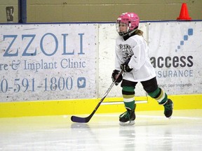 A lone female skater glides on the ice as the Stony Plain Predators hold youth evaluations at the Glenn Hall Centennial Arena in Stony Plain. The space and arenas in Spruce Grove recently reopened for public skating.