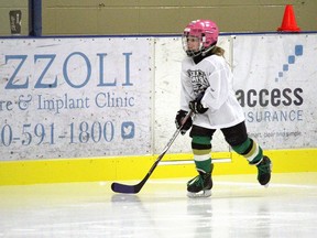 Public skating in Spruce Grove has been cancelled from Nov. 16 to 27.