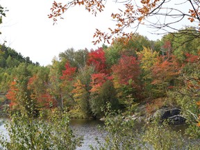 The striking foliage around Simon Lake in Naughton, Ont. is starting to turn a brilliant red and orange just in time to greet fall which officially begins September 22, 2020.