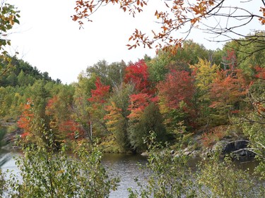 The striking foliage around Simon Lake in Naughton, Ont. is starting to turn a brilliant red and orange just in time to greet fall which officially began September 22, 2020. John Lappa/Sudbury Star/Postmedia Network