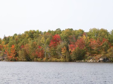 The striking foliage around Simon Lake in Naughton, Ont. is starting to turn a brilliant red and orange just in time to greet fall which officially begins September 22, 2020. John Lappa/Sudbury Star/Postmedia Network