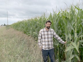 Justin Allaer, grains and field crop manager at Serkka Farms, was tending to their crops outside of Port Lambton on Sept. 2. He said the farm's corn and soybean crops are doing well, even after a hot and dry couple growing months. (Jake Romphf, Postmedia Network)