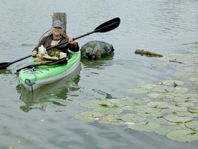 Sally Joyce, on one her frequent garbage clean-up kayak trips on the Sydenham River, was photographed on Sept. 2. She takes trips a couple times every week to try and protect wildlife and clean the littered shorelines. Sandy Baird photo