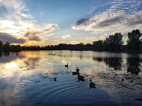 Canada geese on Lake Margaret at sunset are a late-September sight posted by Frank Pelsoczi to the EPICS by Railway City Photographers public group on Facebook. (Frank Pelsoczi photo)