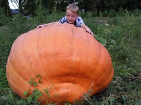 Griffin Willemse, 7, wraps his arms around a 650-pound pumpkin growing in the Forest garden of his grandfather, Harry Willemse.