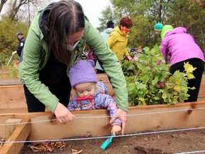 Kalyn Hale helps her niece, Sophie Hale, 2, prepare a spot to plant a seedling, Tuesday, at the starter nursery near Chippewa Creek.
PJ Wilson/The Nugget