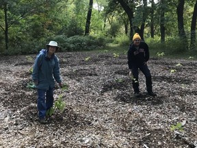 Brenda Lorenz and Mike Kent pose with newly planted pawpaw trees in Canatara Park in Sarnia. The planting project was conducted jointly by the Friends of Canatara and the Sarnia Environmental Advisory Committee, with $800 in funding from Lambton Wildlife. (Submitted)