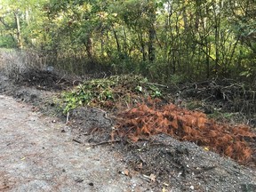 An increase of yard waste and garbage dumping has been observed across the county and in protected areas such as provincial parks. (TURKEY POINT PROVINCIAL PARK PHOTOS)