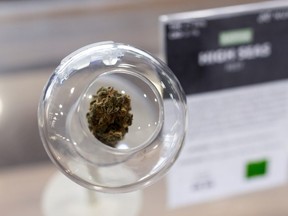 NUMO Cannabis’ Sativa High Seas Reef cannabis is seen at the company’s Alberta Avenue location in Edmonton, on Thursday, Sept. 24, 2020.