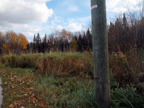 A vacant lot at the corner of Eighth Street South and Eighth Avenue South in Lakeside known as the "Howard Property" was declared as surplus land by the city and sold to the Kenora District Services Board to build a 54-unit seniors housing complex.