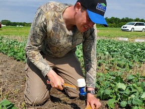 Callum Morrison is a PhD student in the Department of Plant Science at the University of Manitoba.