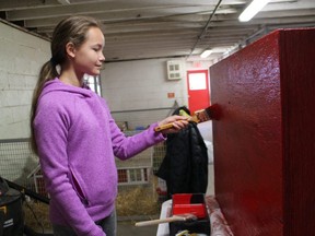 Katherine Wright, 12, paints a rabbit hut Saturday while volunteering during Kiwanis One Day at the Children's Animal Farm in Sarnia's Canatara Park.