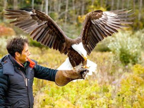 Comedian Jonny Harris, host of the CBC comedy program Still Standing, dropped by The Canadian Raptor Conservancy on Front Road last fall during filming of an episode featuring the hamlet of Vittoria and surrounding area. That episode aired on CBC TV this week. CBC photo