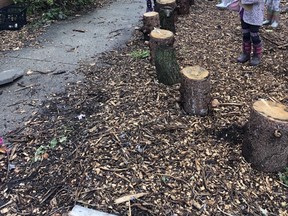 Becky Cohoon's class takes part in "Take me outside" day on October 21, at KTTPS. SUBMITTED