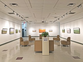 Don McMaster’s work is on display in the Main Gallery at Prairie Fusion Arts and Entertainment. (supplied photo)