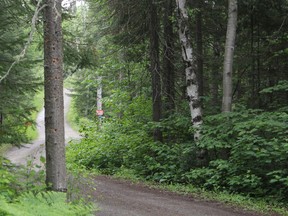Cottage road in Barbers Bay area of Timmins.

RON GRECH/The Daily Press file photo
