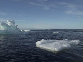 Floating ice is seen during the expedition of the The Greenpeace's Arctic Sunrise ship at the Arctic Ocean, (File photo)