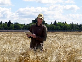 USask CDC barley breeder Aaron Beattie. (Credit: University of Saskatchewan)